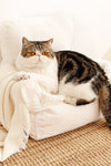 Nordic Sofa Pet Bed - TikTok Pet Shop