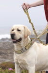 Nylon Pet Collar For Medium & Large Pets - TikTok Pet Shop