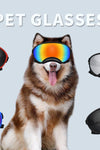Pet Ski Goggles - Tiktokpetshop