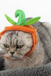 Pumpkin Hat For Pets - Tiktokpetshop