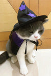 Purple Wizard Halloween Pet Costume - Tiktokpetshop