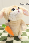 Rabbit With Carrot Or Panda Costume - Tiktokpetshop