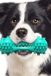 Rubber Dog Dental Chew Toy - Tiktokpetshop