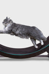 Running Wheel Fitness Cat Toy - Tiktokpetshop