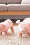 Sleeping Pig Dog Toy - Tiktokpetshop
