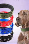 Small And Medium-sized Nylon Dog Collars For Large Dogs - Tiktokpetshop