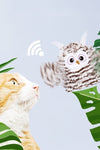 Smart Owl Cat Toy - Tiktokpetshop