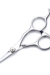 Stainless Steel Pet Scissors - Tiktokpetshop
