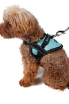 Stylish Harness And Leash For Dogs - Tiktokpetshop