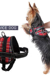 Stylish Harness And Leash For Dogs - Tiktokpetshop