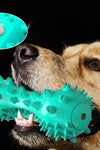 Talking Dog Toothbrush Toy - Tiktokpetshop