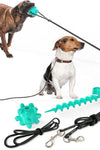 Tie Training Pull Dog Toy - Tiktokpetshop