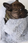 Warm Shag Wool Pet Blankets - Tiktokpetshop